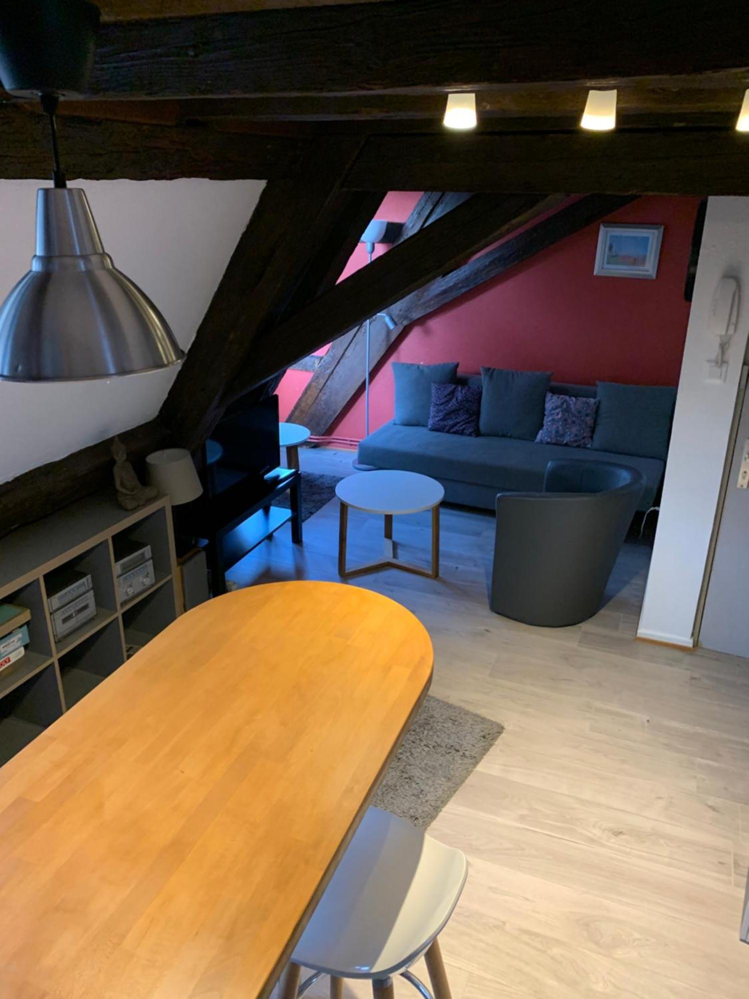 Appartement Duplex 2A Rue D'Alspach 콜마 외부 사진